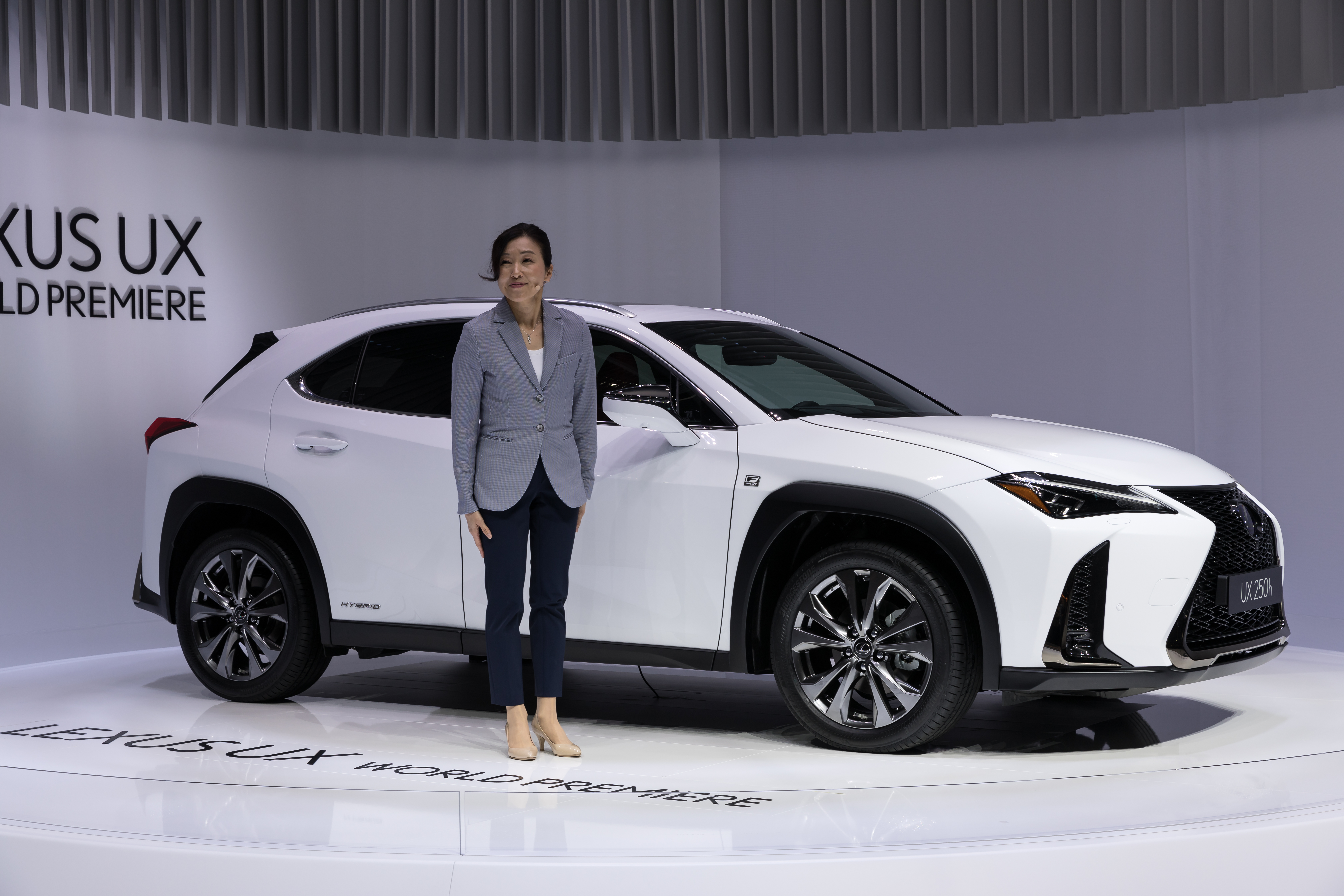 2019 Lexus UX